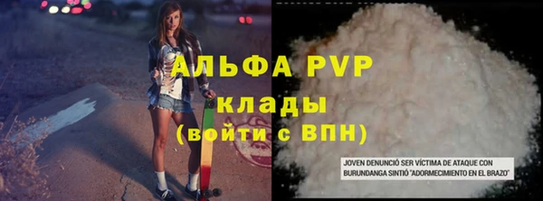 гашик Щёлкино
